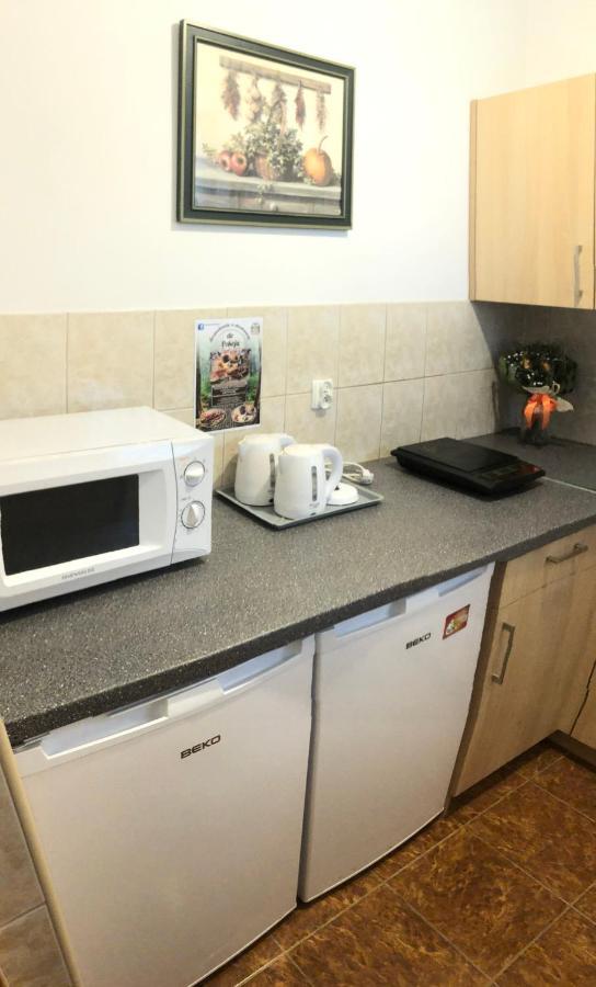 Niebianska Gran Apartment Закопане Екстериор снимка