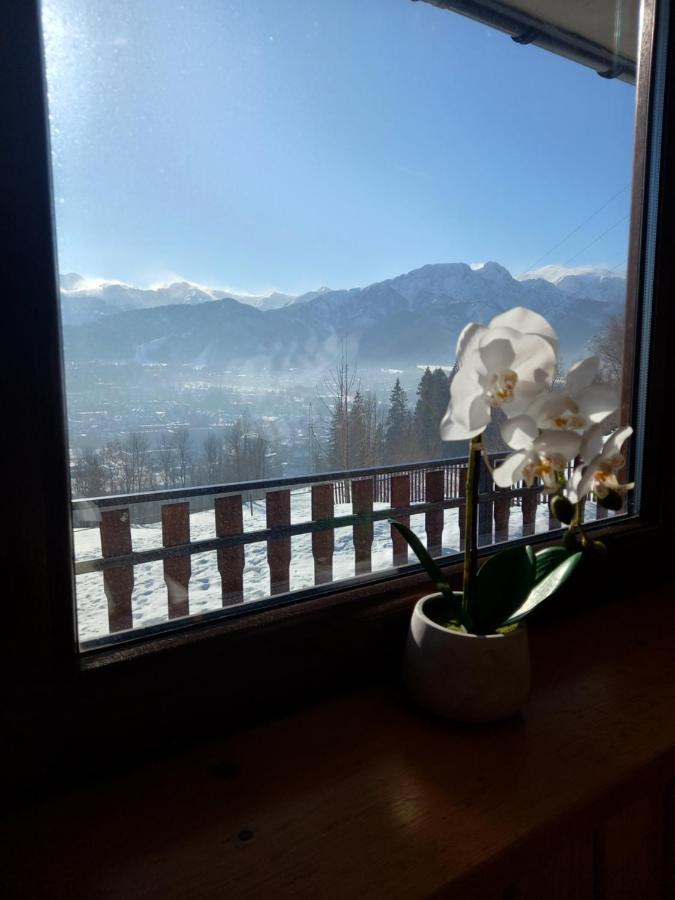 Niebianska Gran Apartment Закопане Екстериор снимка