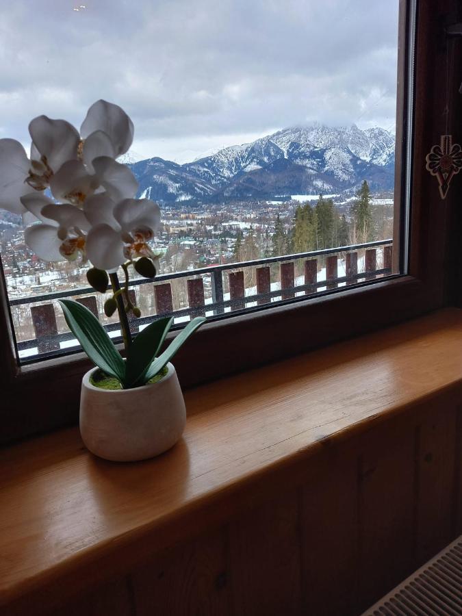 Niebianska Gran Apartment Закопане Екстериор снимка